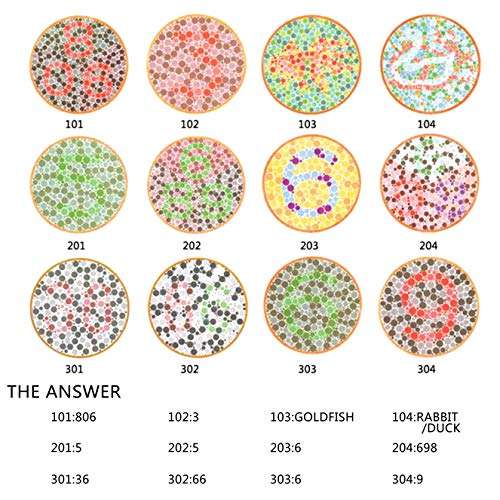 Color Blind Glasses That Make People See Color - Premium High Contrast Colorblind Glasses - Lightweight Men's Color Blind Correcting Glasses 6