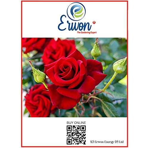 Erwon® Rose Potting Mix, Premium Essential Powerful Organic Soil with Plant Growth and Flower Booster, Charged Micro-Organism and ++ Micronutrients (900 gm) 5