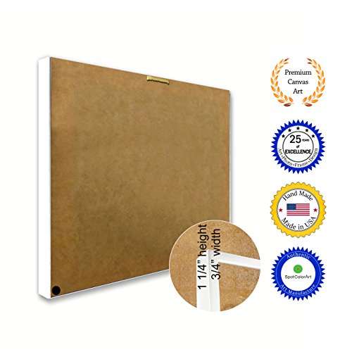 SpotColorArt Handcrafted Framed Canvas Print 4