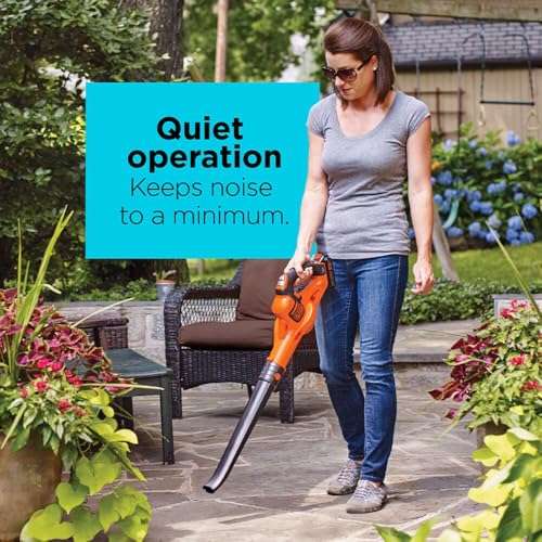 BLACK+DECKER 20V MAX* Cordless Sweeper with Power Boost, Leaf Blower with Battery and Charger (LSW321) 3