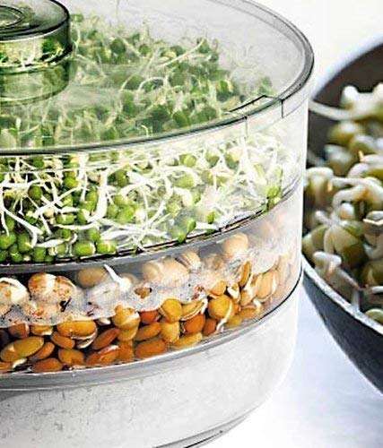Divik Transparent Plastic Sprout Maker with 3 Bowl Container - Home Making Fresh Sprouts Beans Maker Box for Living Healthy Life 3