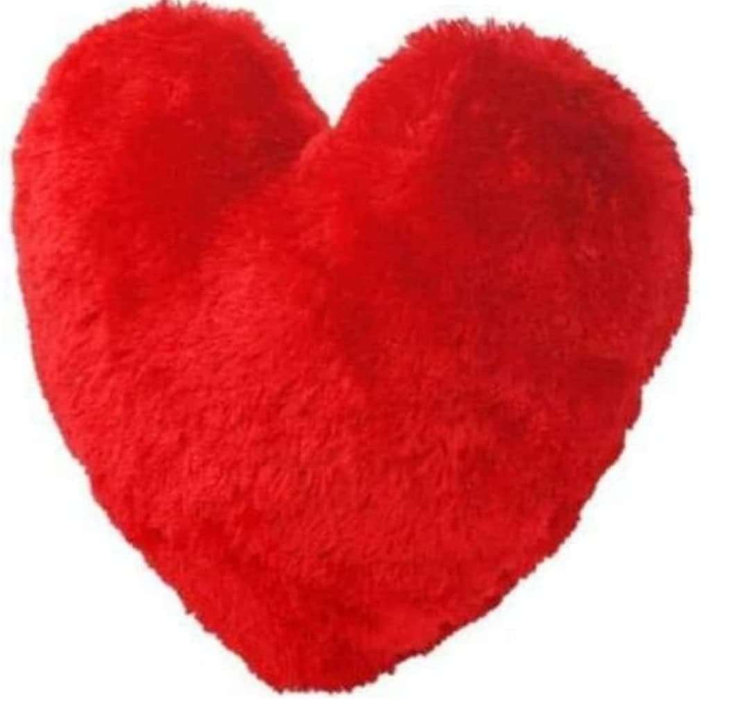 Valentine Special Huggable Love Heart Shape Soft Plush Stuffed Cushion Pillow Toy in Red Color 5