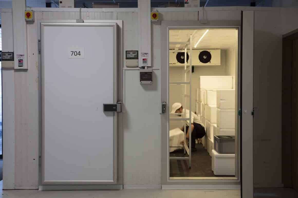 Autonics Korea Refrigeration Temperature Controller TC3YF-14R Compressor Output NTC (Thermistor) Type Made in Korea 5