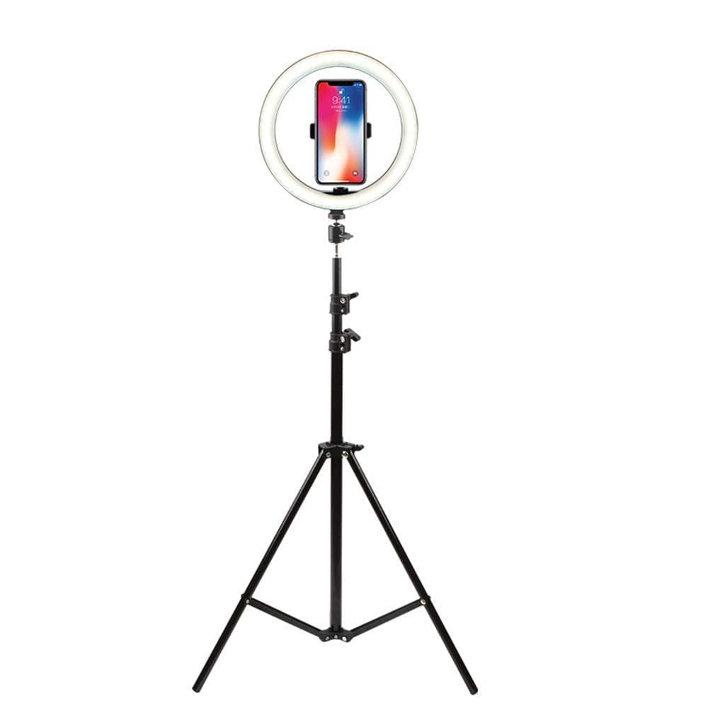 YLLN Ring Light 26cm/ 10in LED Ring Light with Stand and Phone Holder for YouTube Video/Photography Compatible and Makeup