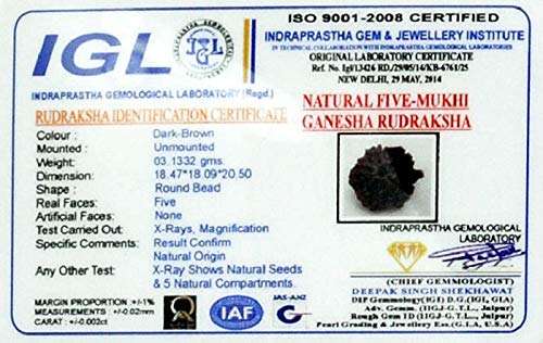 The Gallery of Gemstone Ganesh Rudraksha of Indonesia Origin Wooden Yantra by Lab Certified 5