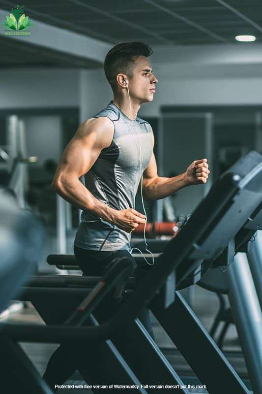 SAI HERBS Mosambi Peel - Mosambi Chilka - Mosami Chilkha - Face Care - Skin Whitening - Reduces Damaged Hair - For Scalp - Pure & Natural (500 Grams) 4