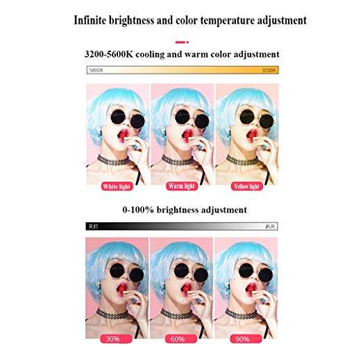 QFFL LED Ring Light Floor-Standing LED Ring Fill Light Soft Light 3 Colors with Tripod Stand and Phone Holder USB Interface Power Supply for Makeup Video Photography (Color : 43-110CM) 2