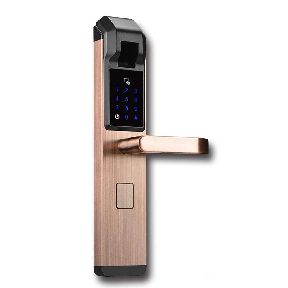 CYYDBB Door Handle with Lock Smart Semiconductor Password Door Levers APP Fingerprint Lock Card Electronic Lock OEM Doorknobs for Doors Suitable for Security Doors, Villas, Homes.(Pair),Silver 1