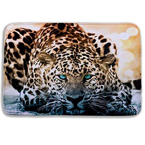 WorldCare® Type 6, 40Cm Hx60Cm W : Bath Rufs Animal Snow Toilet Mats Microfiber Memory Foam Bath Anti Slip Kitchen Bathroom Rugs 1