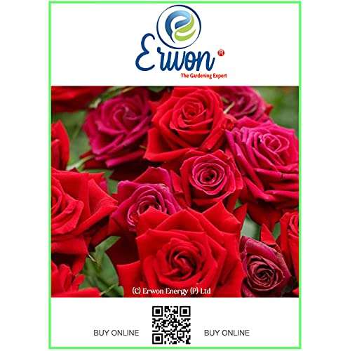 Erwon® Rose Potting Mix, Premium Essential Powerful Organic Soil with Plant Growth and Flower Booster, Charged Micro-Organism and ++ Micronutrients (900 gm) 6