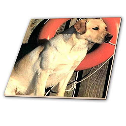 6 Inch Ceramic Tile - Yellow Labrador Lab Dogs Labrador Retriever 2