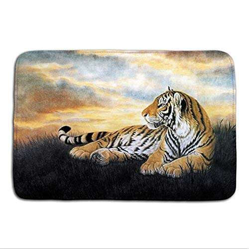 WorldCare® Type 7, 400Mmx600Mm : Bathroom Carpet Bath Animal Elephant Tiger Bathroom For Living Room Floor Mats Kitchen Rugs Entrance Doormats 1