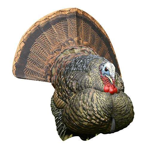 Avian-X Strutter Lifelike Collapsible Decoy LCD Folding Tom Turkey Hunting Decoy with Carrying Case, 24 Inch Stake, and Realistic Paint Detailing