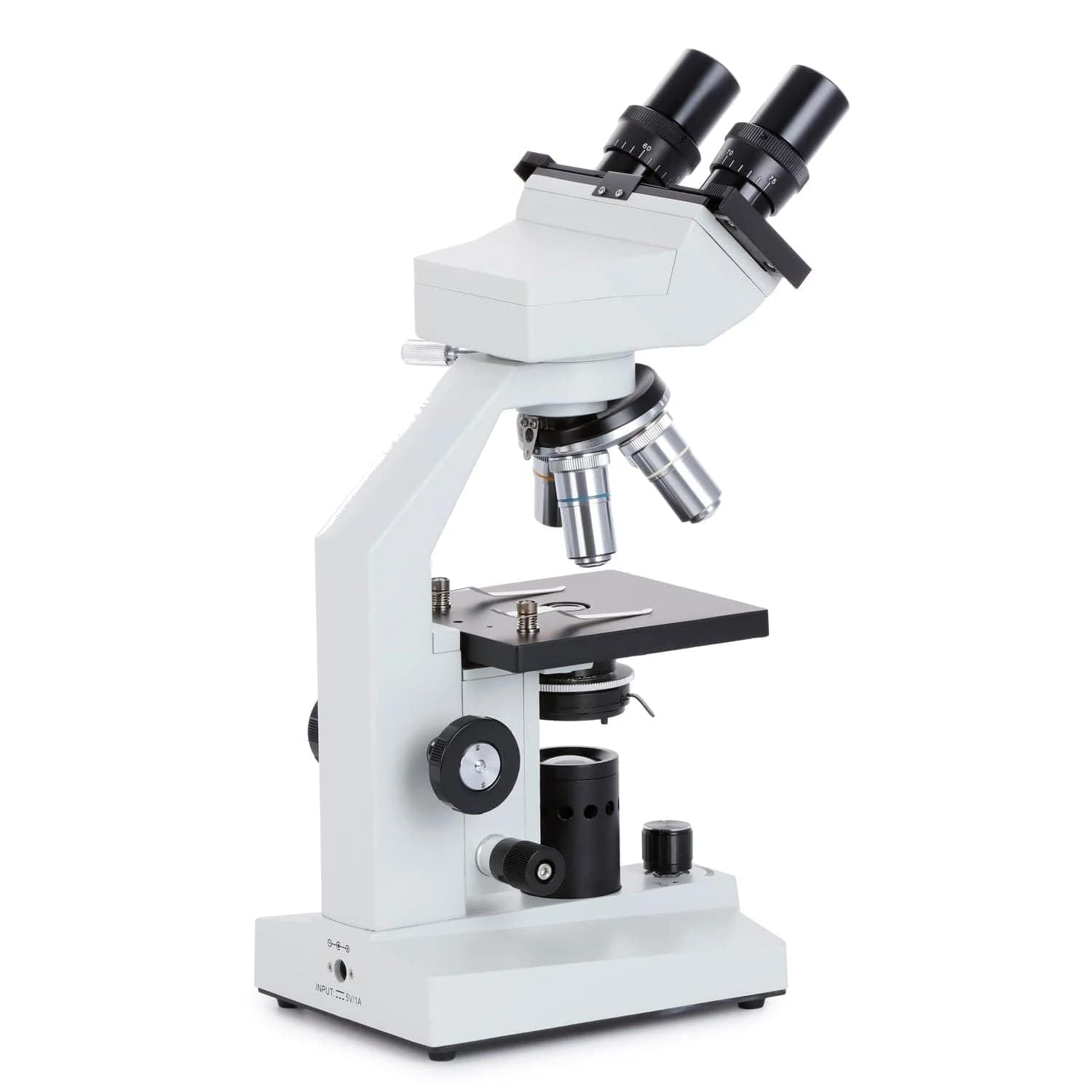 AmScope B100-E 1000X Digital Compound Binocular Microscope, 40X-1000X Magnification, Brightfield, Tungsten Illumination, Abbe Condenser, Plain Stage, Includes 0.3MP Camera and Software 2