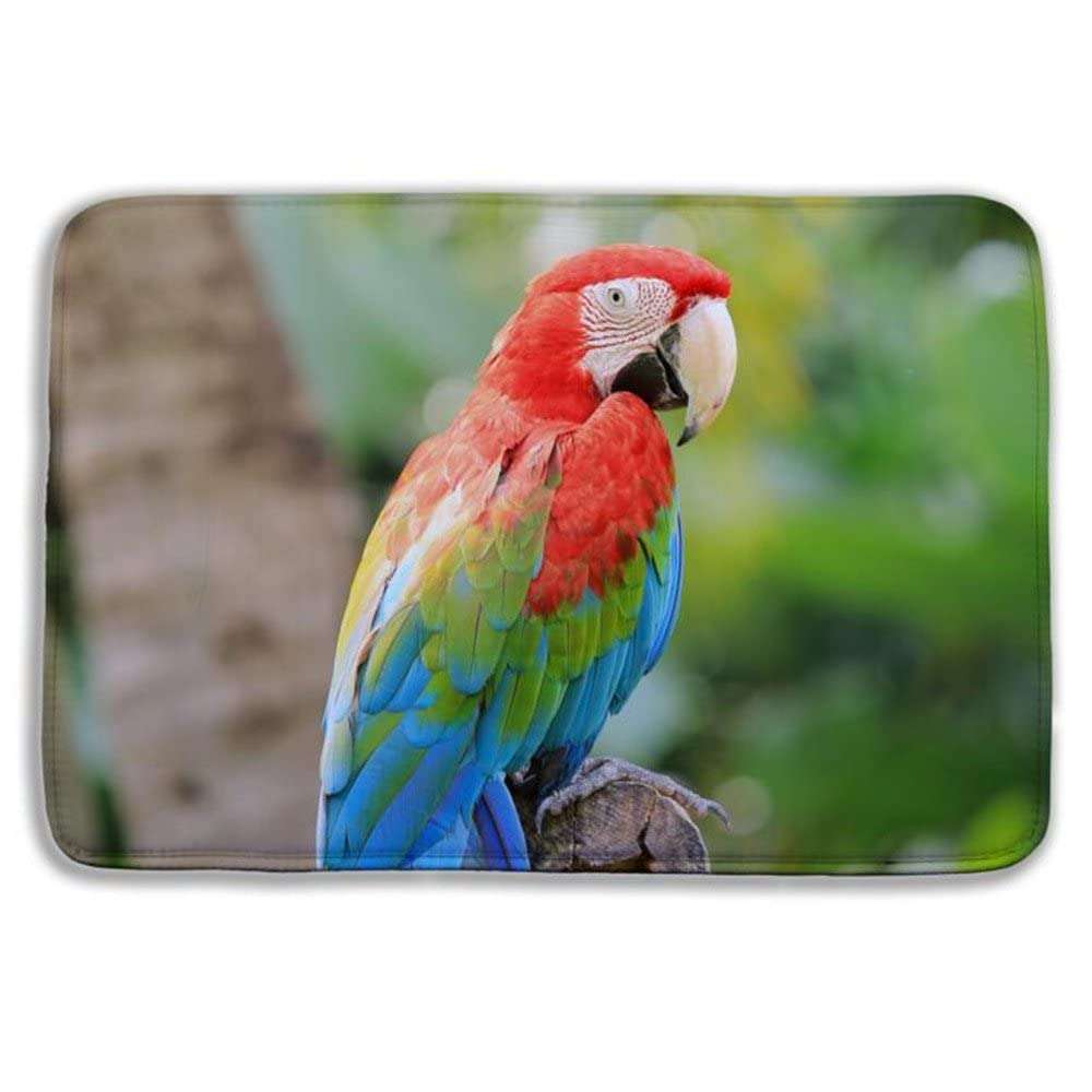 WorldCare® Type 15, 40Cm Hx60Cm W : 40X60Cm Peacock Bird Bath Non-Slip Mats Velvet Memory Foam Rug Shower Carpet For Bathroom Kitchen 2