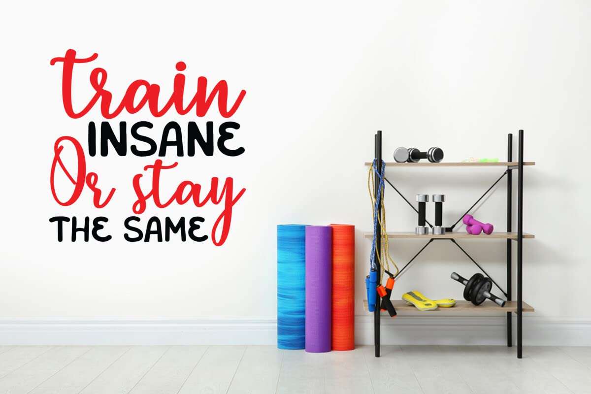 JVERF JBZ1266 Motivational Wall Sticker - Train Insane Or Stay The Same HD Self Adhesive Gym Fitness - Quotes Wall Sticker(BlackRed) [3 ft x 3 ft] / [91 cm x 91 cm] 3