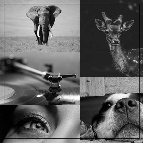 SanSeCai Remanufactured PG-145 XL Ink Cartridge 1 Black Replacement for PG145XL Black Ink for Canon Pixma IP2700 IP2810 MP250 MP270 MP495 MP499 MG2520 MG2924 MG2410 Printer 6