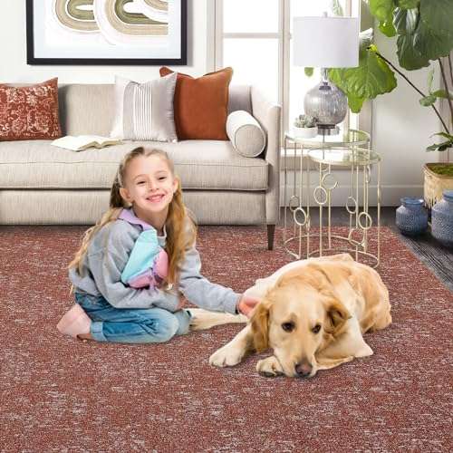 ROYHOME Machine Washable Area Rug, Modern Solid Textured Rectangular Carpet, Stain Resistant Non-Slip, Brick Red, 4' x 6' 6