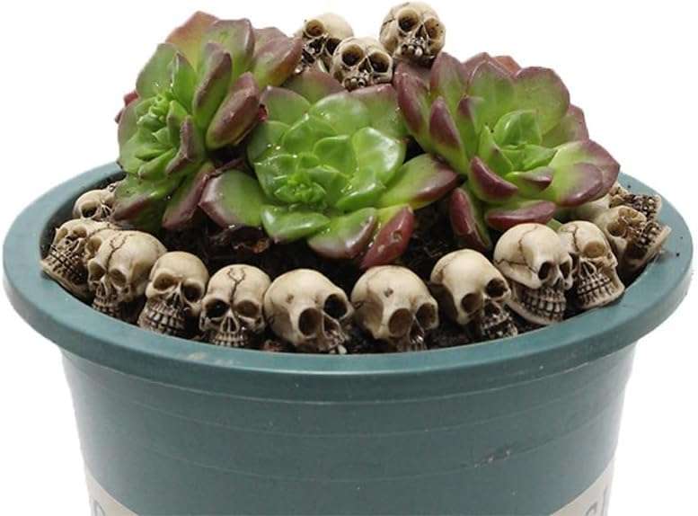 30 pcs Mini Skull Figurine Miniature Skeleton Head Statue Micro Landscape Figure Halloween Cake Topper for Scary Party Supplies 4