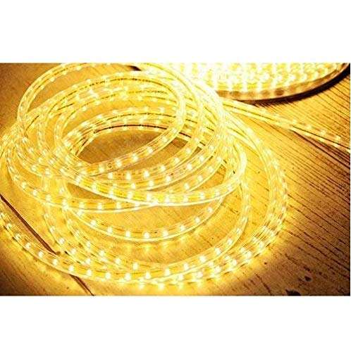 LEONLITE by Light House Freedom Sale 3014 LED Waterproof Strip Rope Pipe Lights Warm White 5 Meters SMD Roll (120 LEDs/Mtr) 6