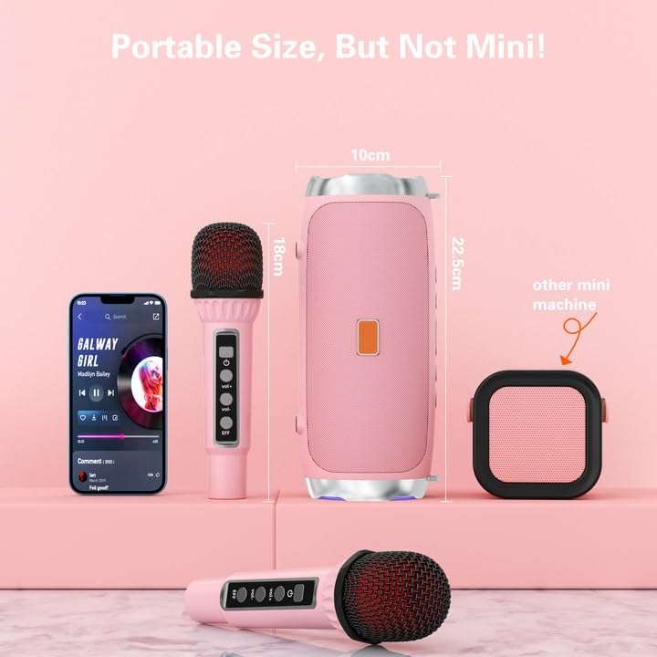 Karaoke Machine for Adult Kids, Portable Bluetooth Speaker with 2 Wireless Microphones, Singing Karaoke Player for Birthday Gift Party Family Supports TWS/Bluetooth/TF/AUX/USB Pink 4