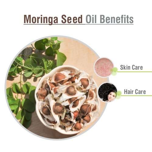 Crysalis Moringa Seed (Moringa Oleifera) Oil |100% Pure & Natural Undiluted Carrier Oil Organic Standard | Perfect For Skin Care & Hair Care, | Aromatherapy Oil | 50ML With Dropper 4