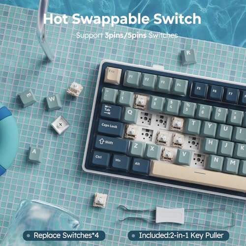 RK ROYAL KLUDGE R75 Wireless Mechanical Keyboard, 75% Percent Custom Gaming Keyboard Gasket Mount RGB Backlit with Knob & PBT Keycaps, BT5.1/2.4GHz/USB-C, Hot Swappable Cream Switch 5