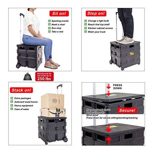 dbest products Quik Cart Collapsible Rolling Crate on Wheels for Teachers Tote Basket 80 lbs Capacity, Made from Heavy Duty Plastic Used as a Seat, Black 2