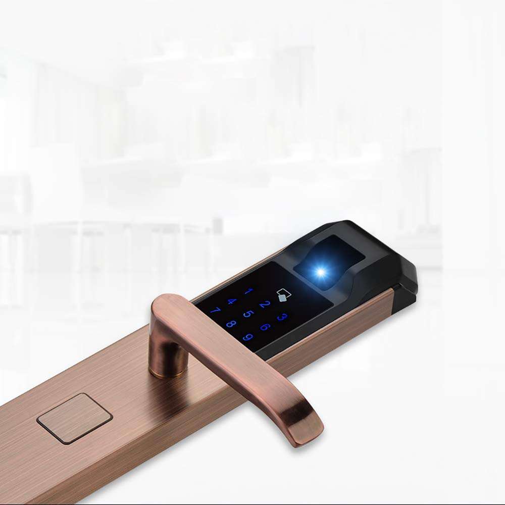 CYYDBB Door Handle with Lock Smart Semiconductor Password Door Levers APP Fingerprint Lock Card Electronic Lock OEM Doorknobs for Doors Suitable for Security Doors, Villas, Homes.(Pair),Silver 4