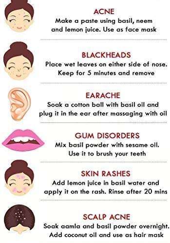 TULSI POWDER 50 GM 3