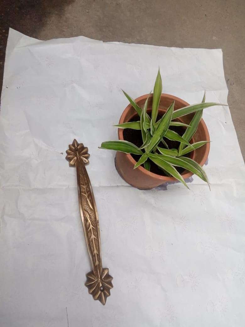 Brass Decore Multipale Door Handle 5