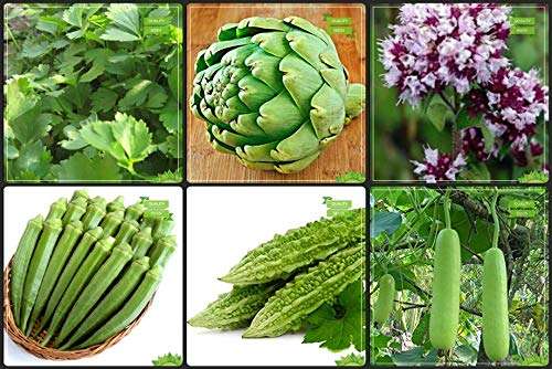 Creative Farmer Plant Seed Combo Herb Seeds and Vegetable Seeds : Bhindi (Arka Anamika), Bittergourd, Bittergourd Priyanka - White Large Spindle Fruits and Others -3 Packs