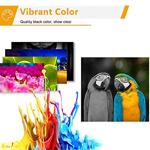 CMCMCM Compatible Ink Cartridge Replacement for Canon PGI-280XXL CLI-281XXL 280 XXL 281 XXL for PIXMA TR7520 TR8520 TS6120 TS6220 TS8120 TS8220 TS9120 TS9520 TS6320 TS9521C Printer (10 Pack) 4