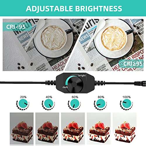 Travor Photo Box 16"/40cm Photo Studio Light Box Photography Shooting Tent with Movable LED Lights, Dimmable Table Top Light Tent with 4 Color Backdrops (White Black Red Blue), CRI95+ 3