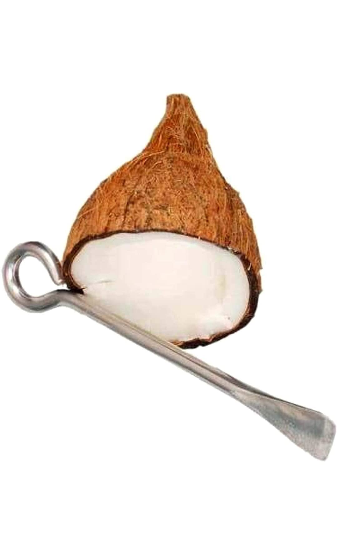 POOJA ECOMMERCE,S Stainless Steel Coconut Opener/Chipper/Peeler with Round FACE Ring for Superb GRIPPING and Hanging ON Wall (Set of ONE) 3