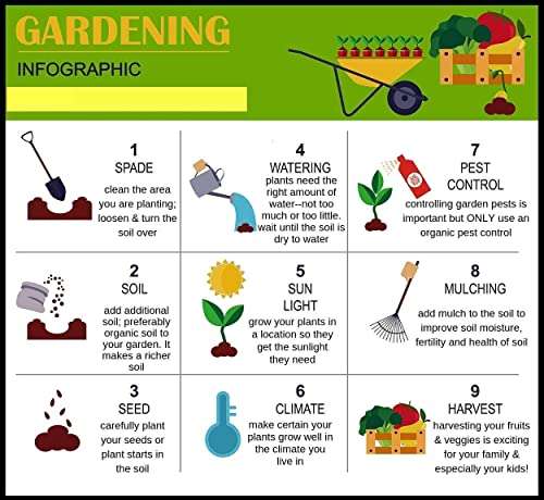 VibeX Rigid Gourd,Torai-100 Seeds 5