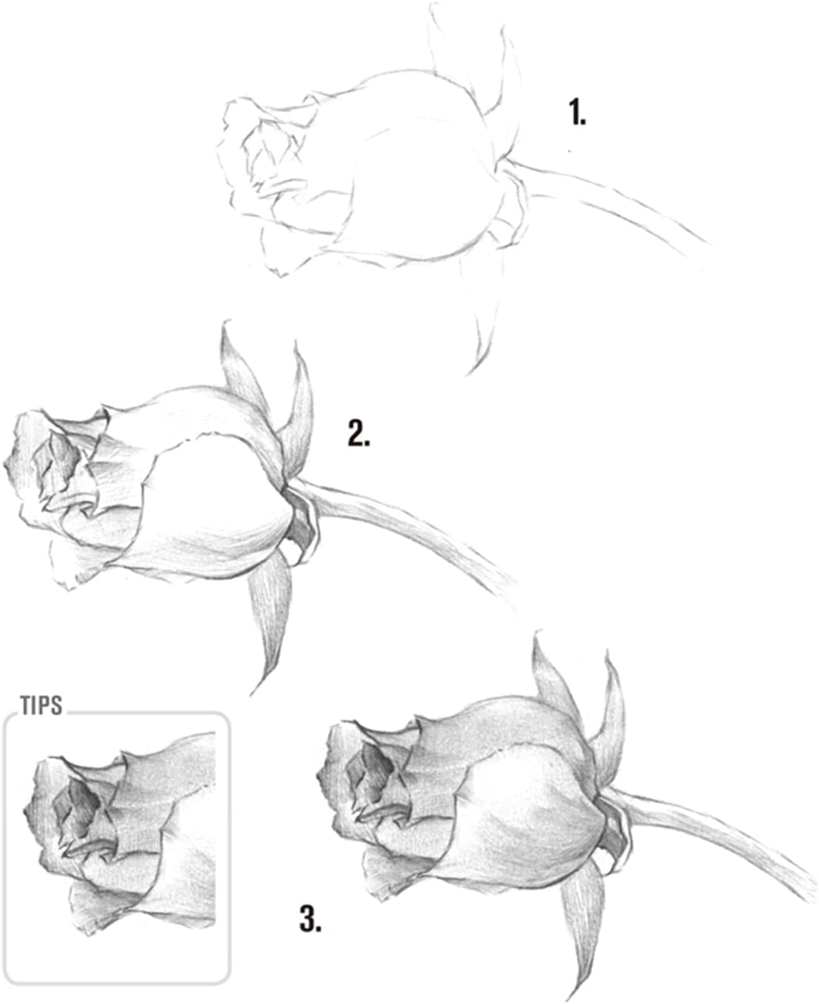 VANDU 29 Drawing Sketching Pencils Kit, Portable Artist Supples Travel Case Set has Graphite, Charcoal, white color pencil, Blending Stump, gift for Adults Beginners for Drawing Sketch 5