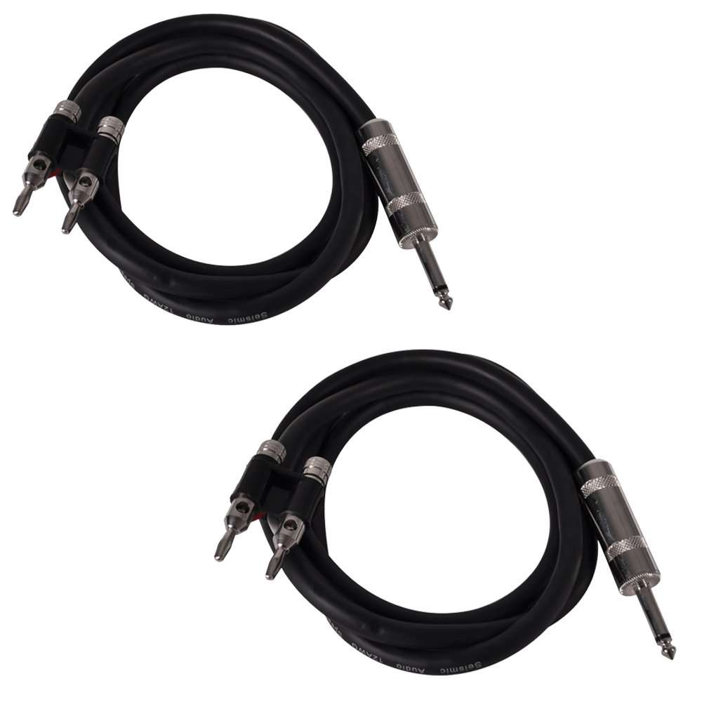 Seismic Audio BS12Q5-2Pack Pro Audio Banana to Speakon 12-Gauge 2 Conductor, Pair 1