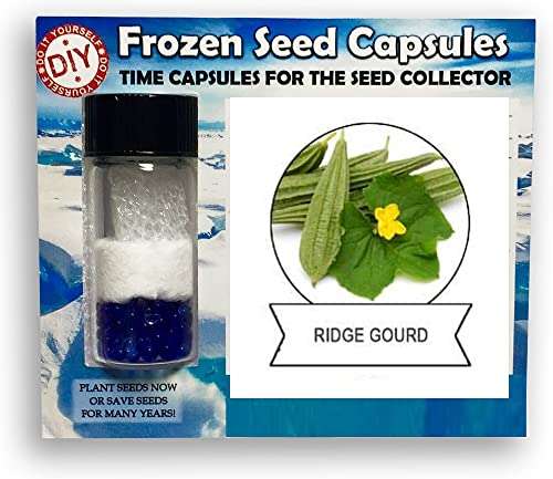 VibeX Rigid Gourd,Torai-100 Seeds 1