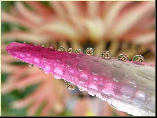 New 0.45x High Grade Wide Angle Conversion Lens (37mm) For Sony Handycam DCR-DVD408 2