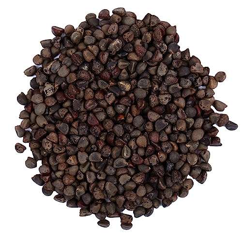 YUVIKA Beej Band Kala - Bala Beej - Sida Cordifolia (200 Grams) 2