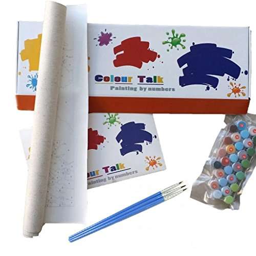 Colour Talk DIY Oil Painting, Paint by Number kit - Beautiful Shy Girl 16 * 20 inch. 6