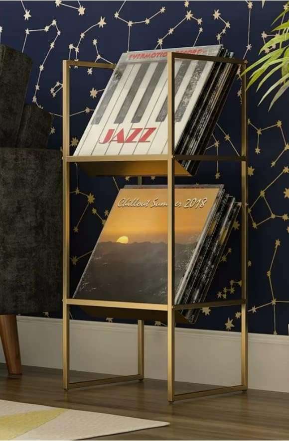 INDIDECOR 25025 Classic 2-Tier Vinyl Record Storage Rack, Vinyl Record Shelf, LP Storage Shelf, Record Holder for Albums, Large Capacity Vinyl Record Display Stand - Golden 3