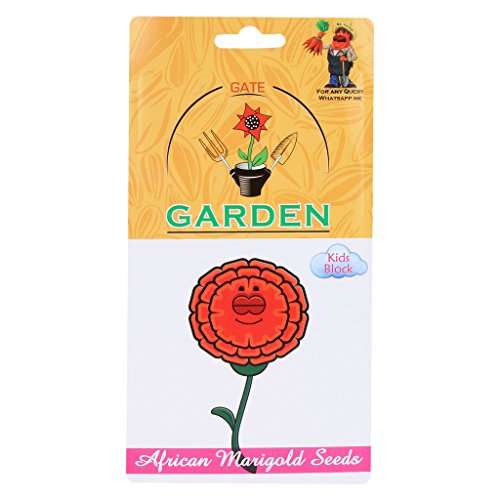 Gate Garden African Marigold Flower Seed Kids Block 1
