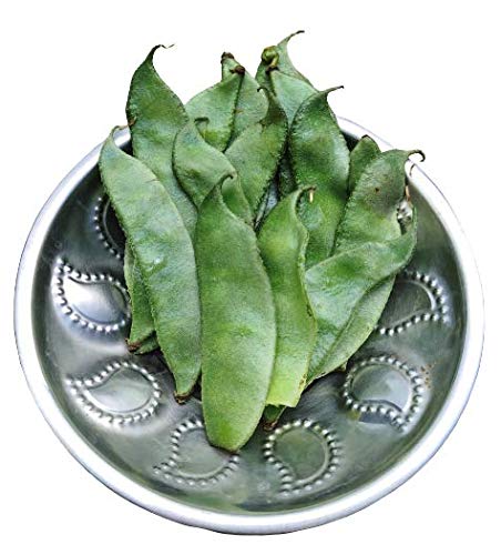 Dolichos Bean/Sheem/Lab Lab Beans/Hyacinth/Avarai Seeds (60 seeds)