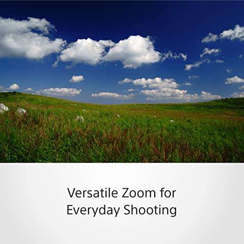 Sony SEL2470Z E Mount - Full Frame Vario Tx 24-70mm F4.0 Zeiss Zoom Lens (Black) 2