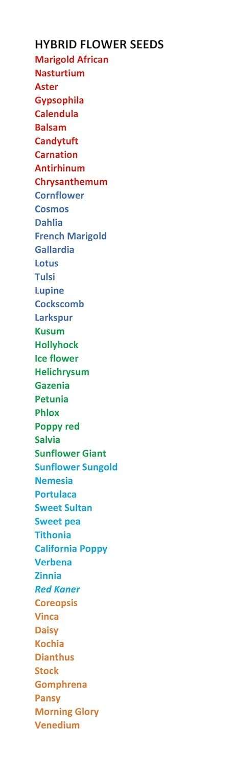 Low Maintenance Hybrid Flower Seeds Combo Pack- All Year Flower Seeds Supply (50 VARIETIES) 3