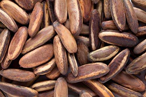 GREEN WORLD Gulmohar Seeds -Ornamental tree seeds -Avenue Tree seeds (Delonix regia seeds) 250 Grams 1