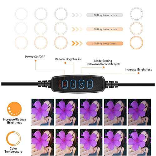 Kyuccfrsus 6/10 Inch LED Ring Light,Ring Light Tripod Photo Video LED Lighting Desktop Adjustable LED Ring Light Camera Phone Live Studio Fill Lamp 1# 5
