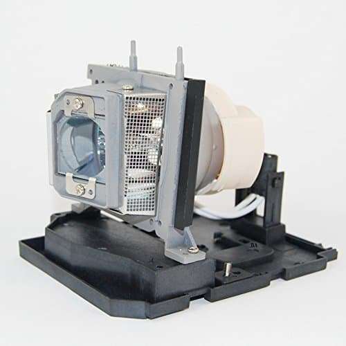 BORYLI for 20-01032-20 Projector Bulbs Replacement with Housing